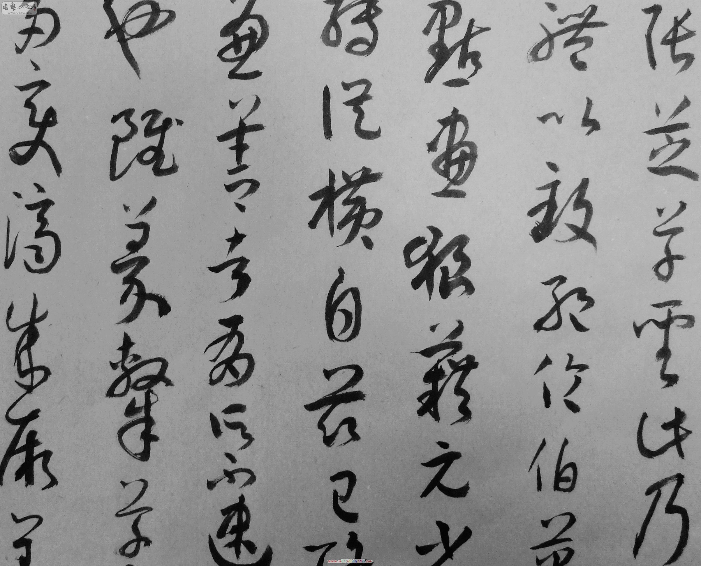 DSCF2033.JPG