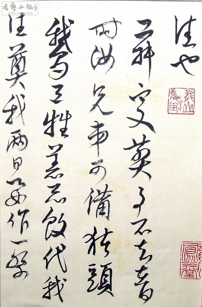 DSCF4173.jpg