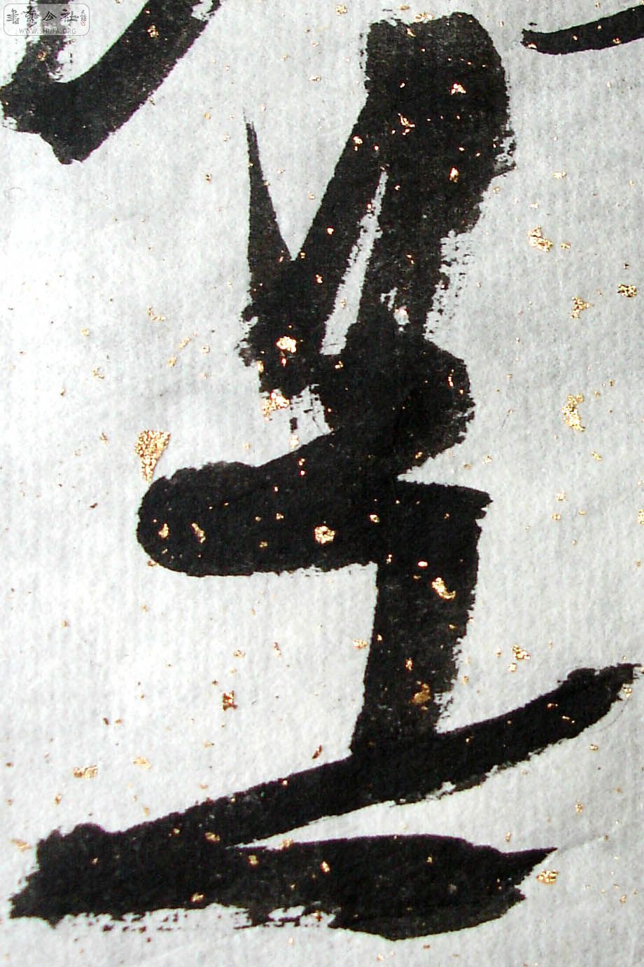 26.jpg
