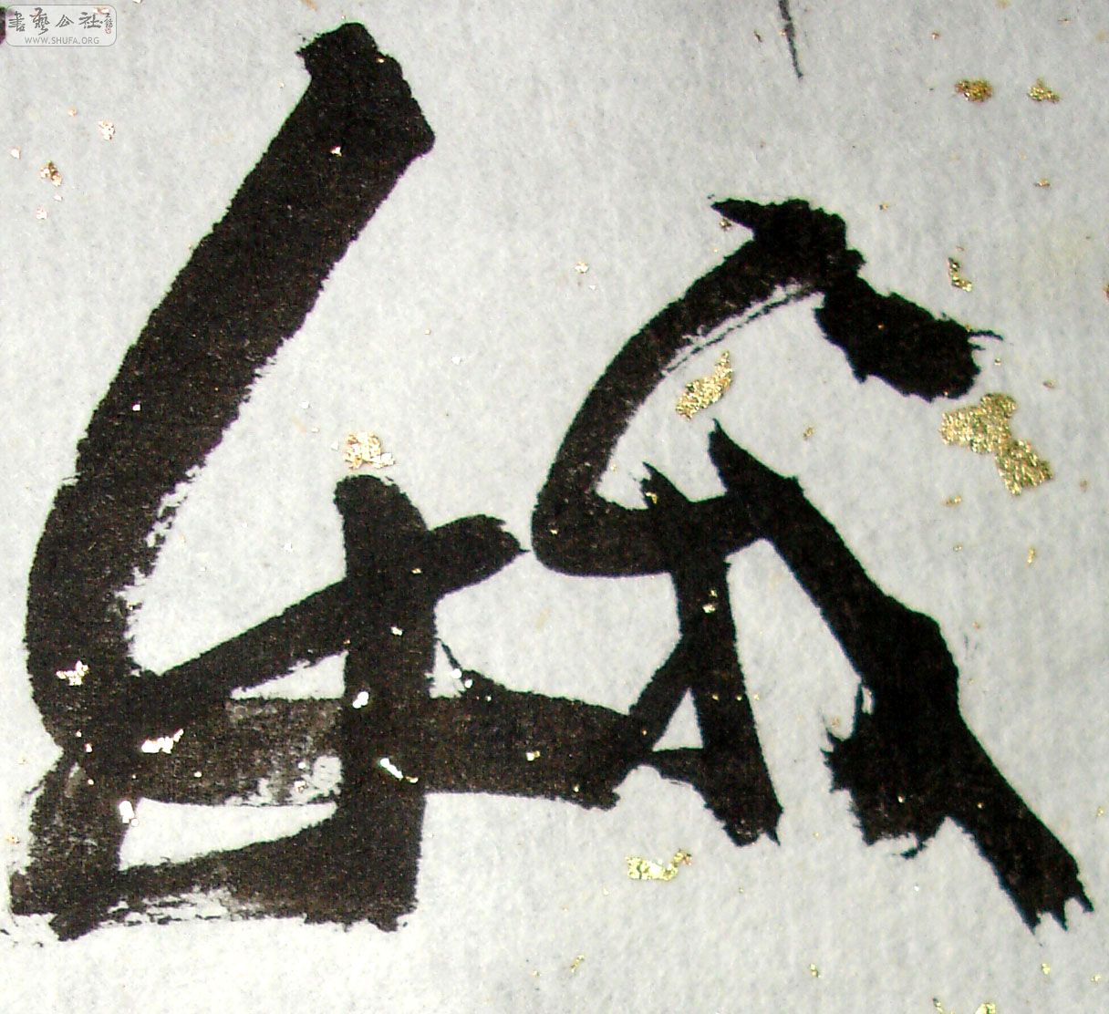 149.jpg