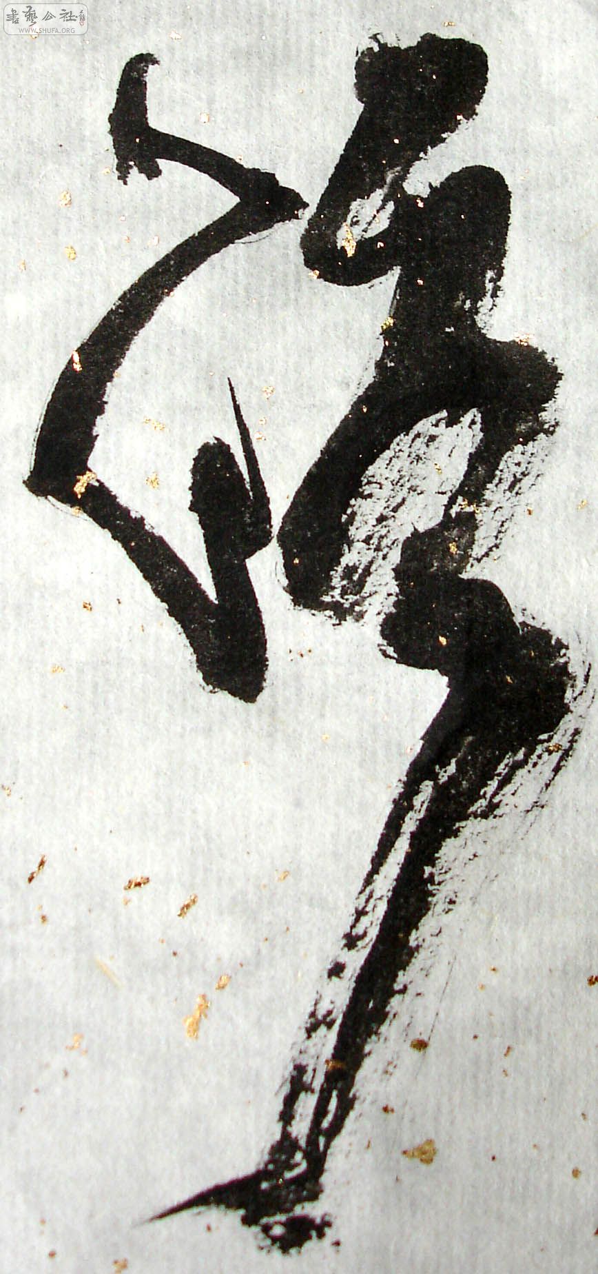 74.jpg