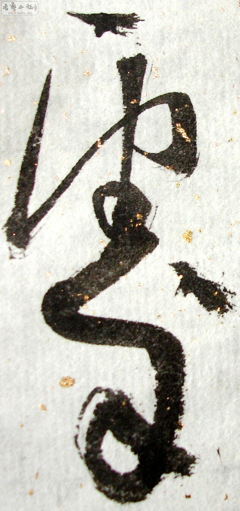 148.jpg