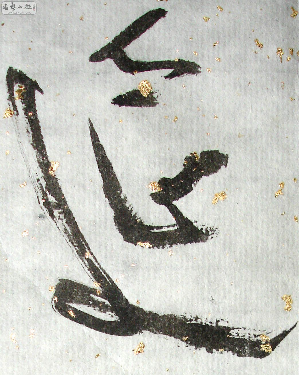 75.jpg