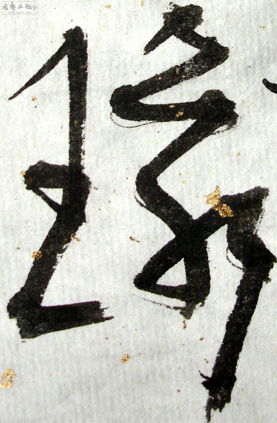 156.jpg