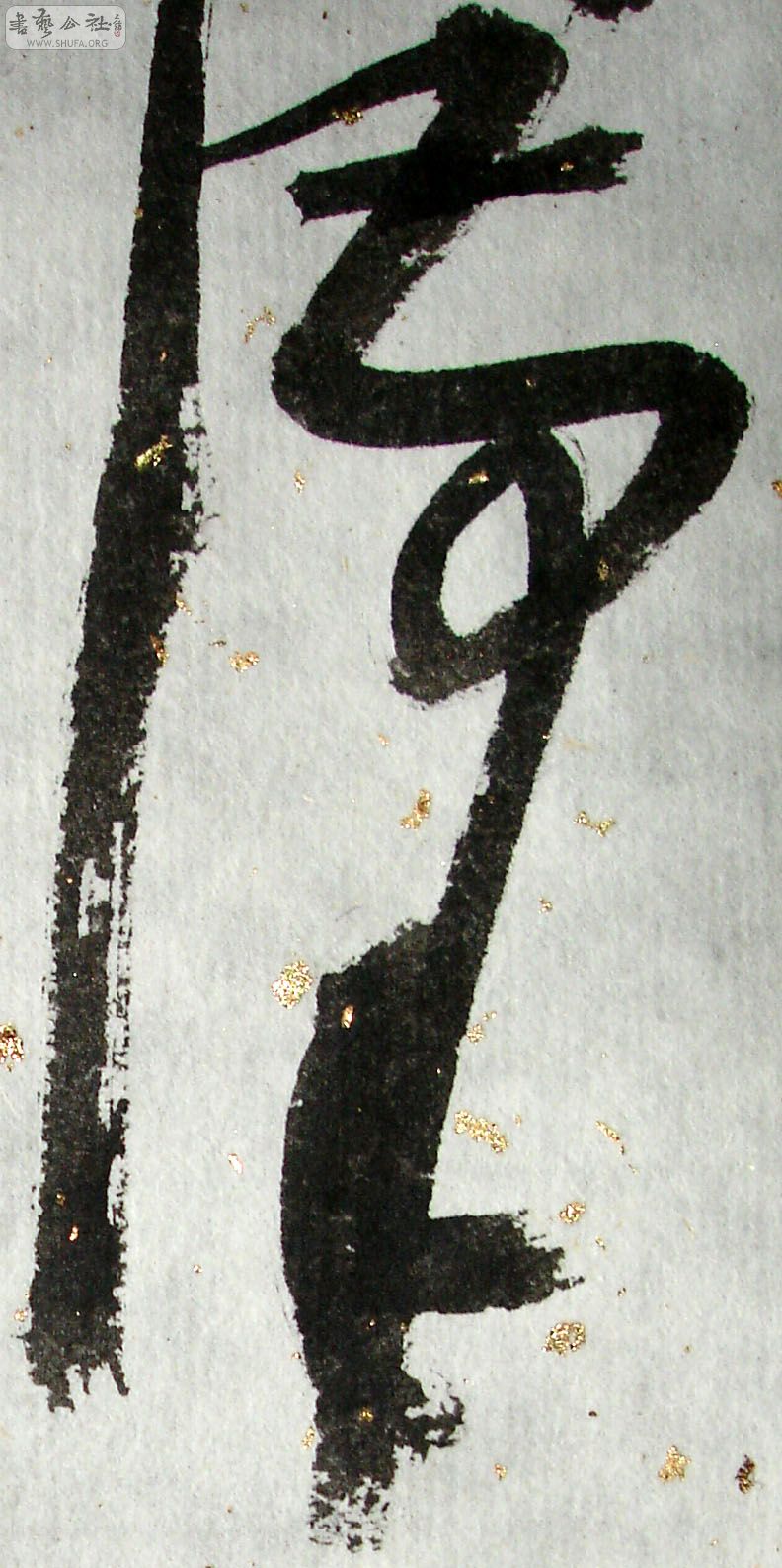 57.jpg