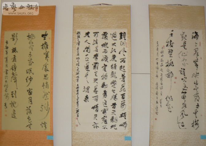 P1010532.jpg
