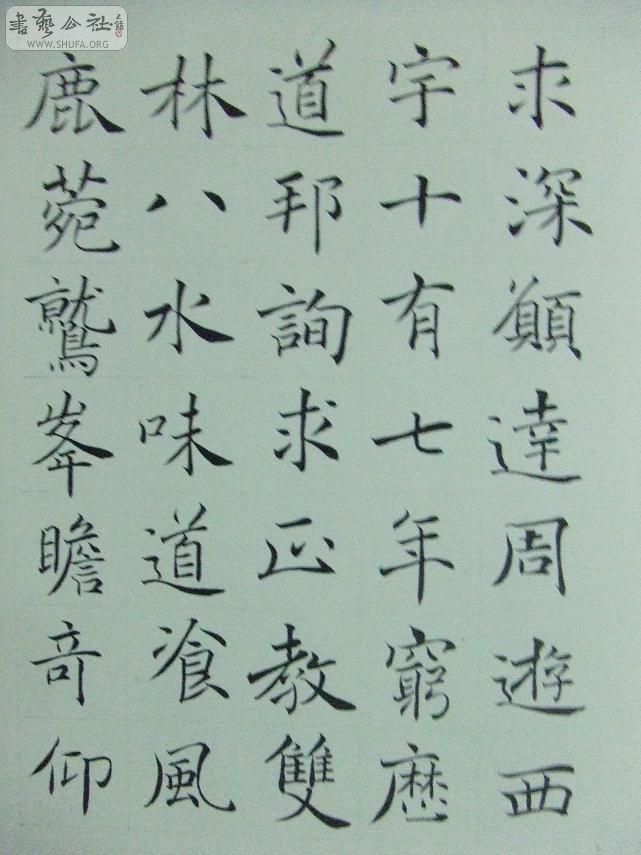 DSCF1264.jpg