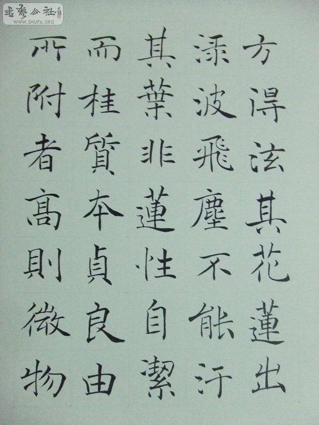 DSCF1269.jpg