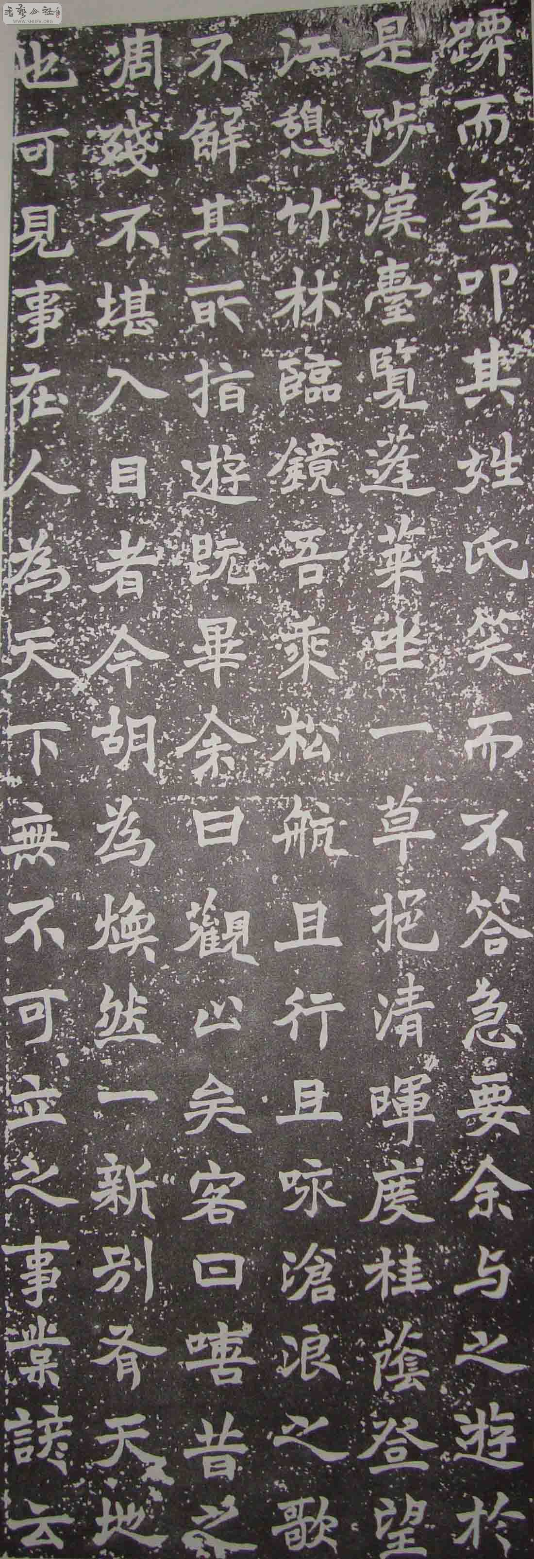 DSC00102.jpg