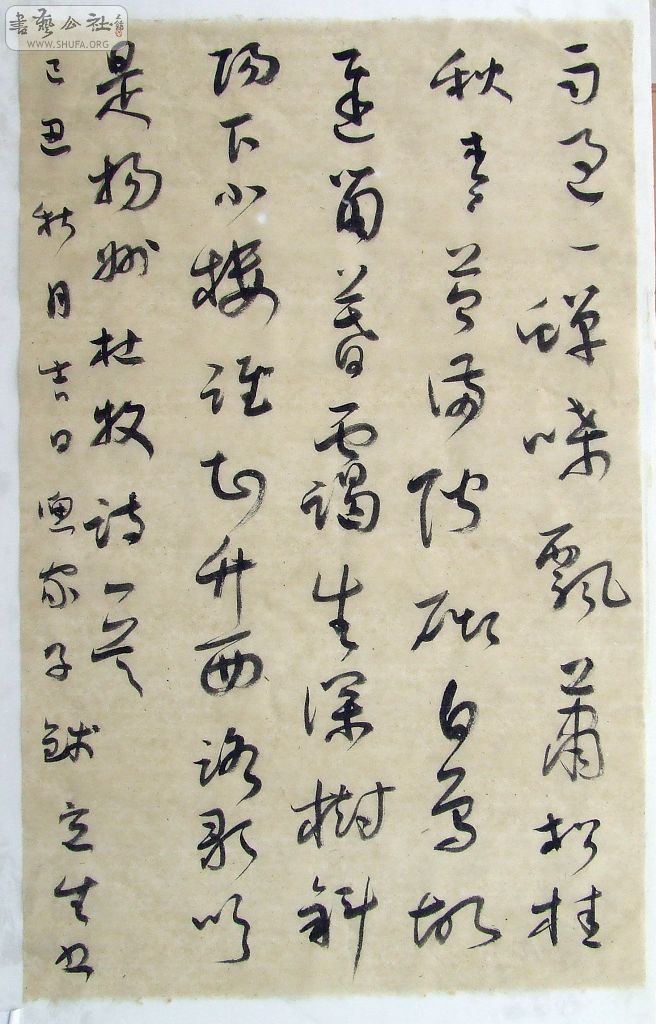 DSCF5055.jpg