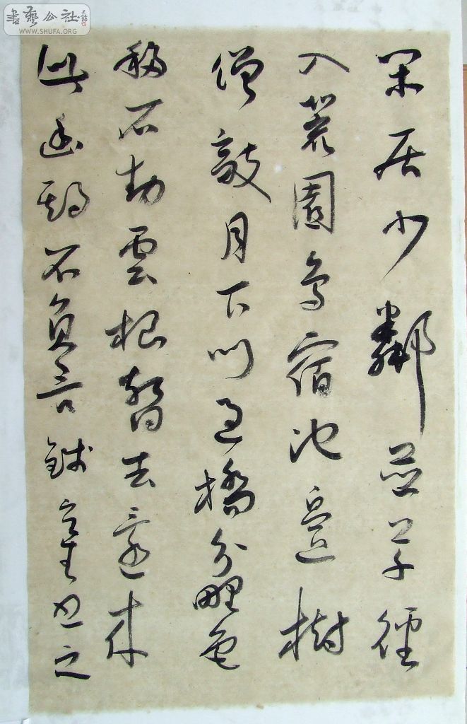 DSCF5051.jpg