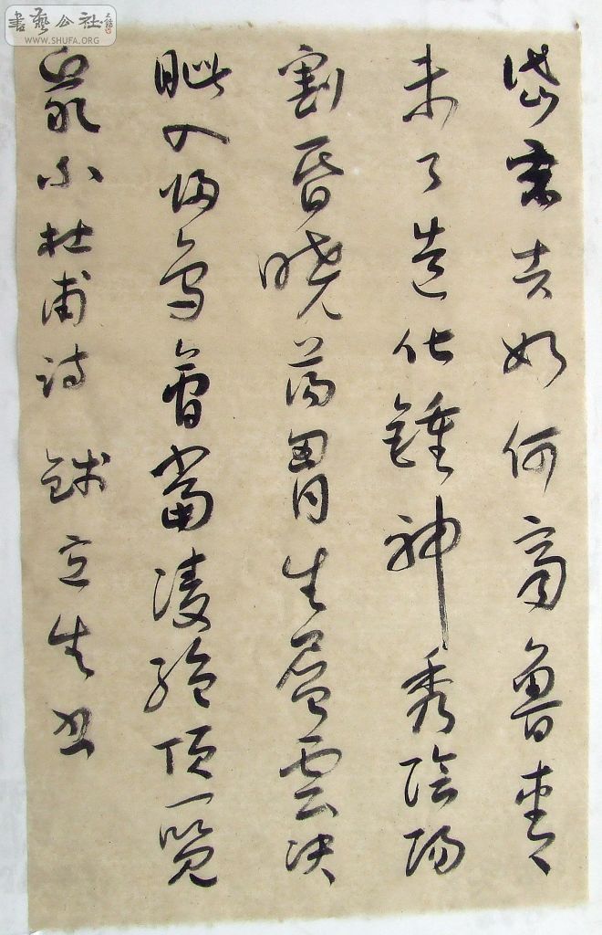 DSCF5048.jpg