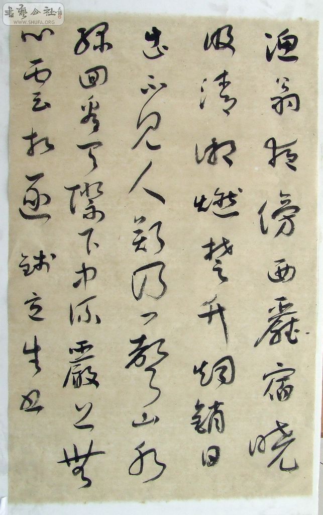 DSCF5052.jpg