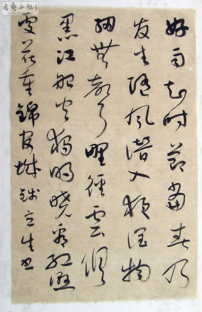 DSCF5050.jpg