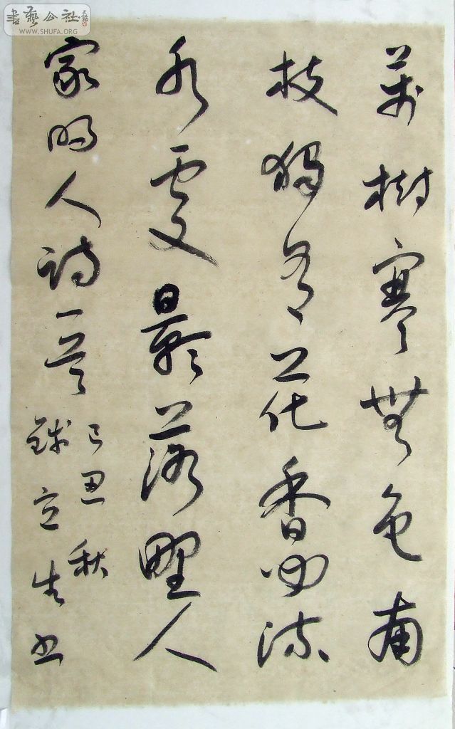 DSCF5053.jpg