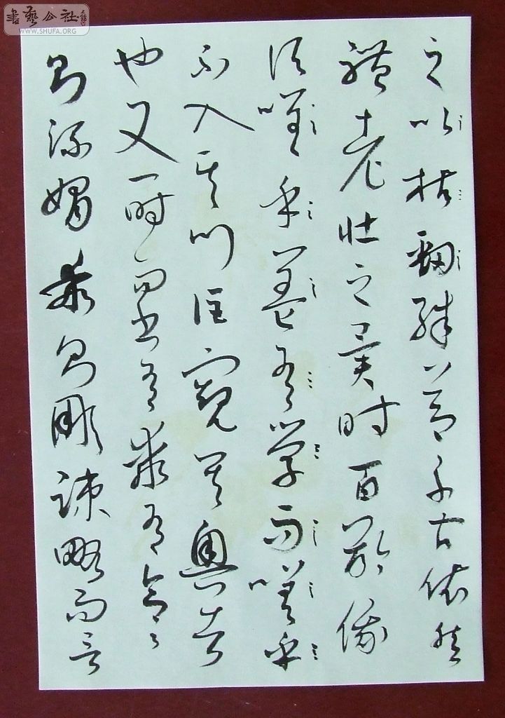 DSCF5006.jpg