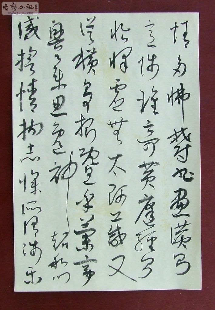 DSCF5003.jpg