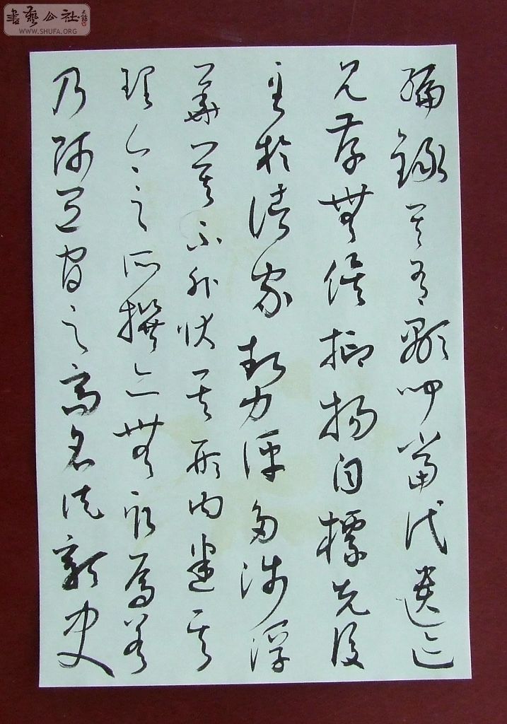 DSCF5007.jpg