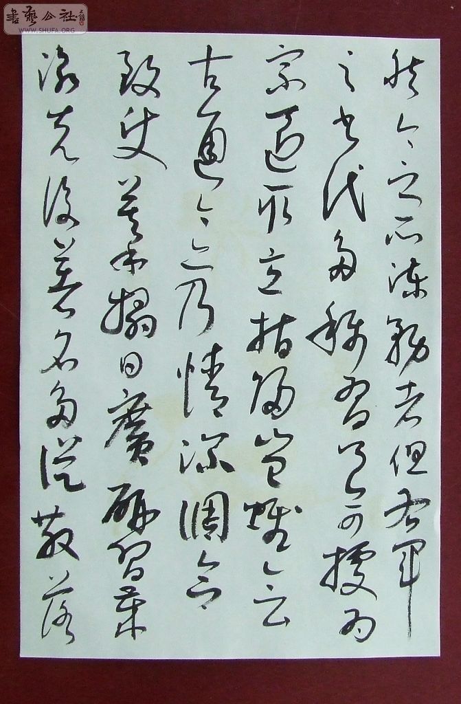 DSCF5002.jpg