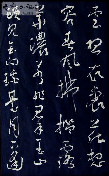 DSCF5128.JPG