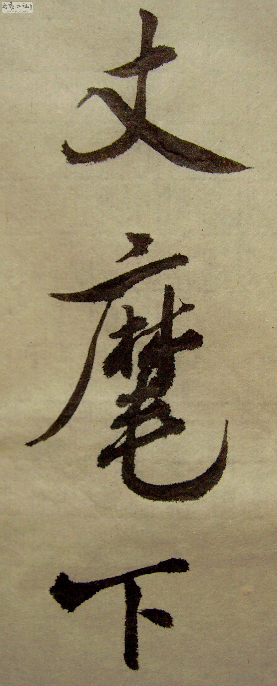 PICT0310.JPG