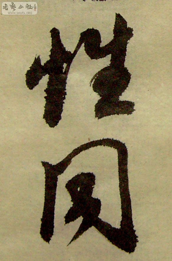 PICT0223.jpg