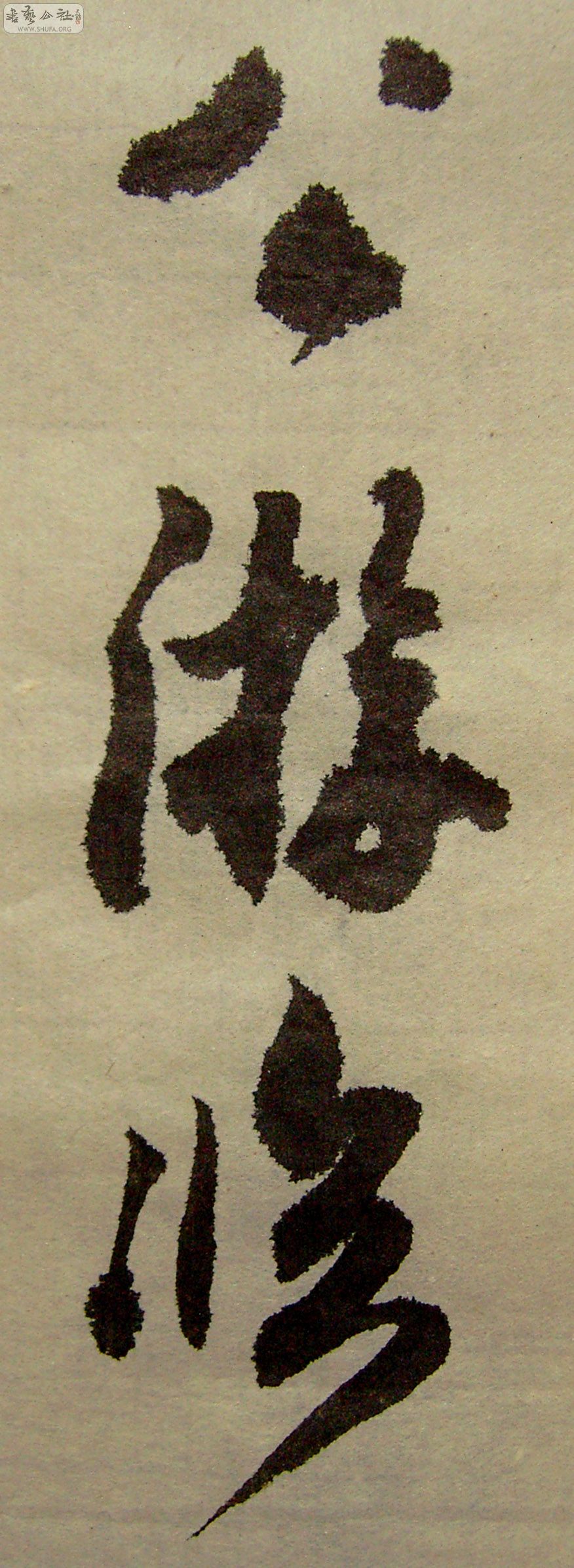 PICT0306.JPG