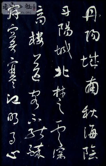DSCF5136.JPG