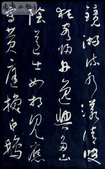 DSCF5131.JPG