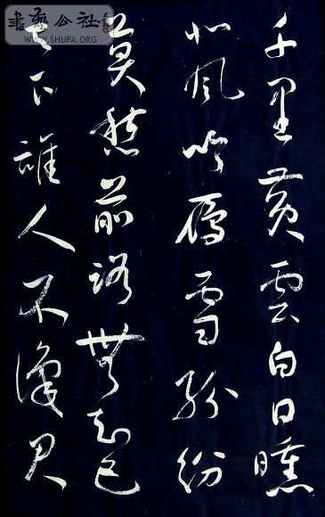 DSCF5143.JPG