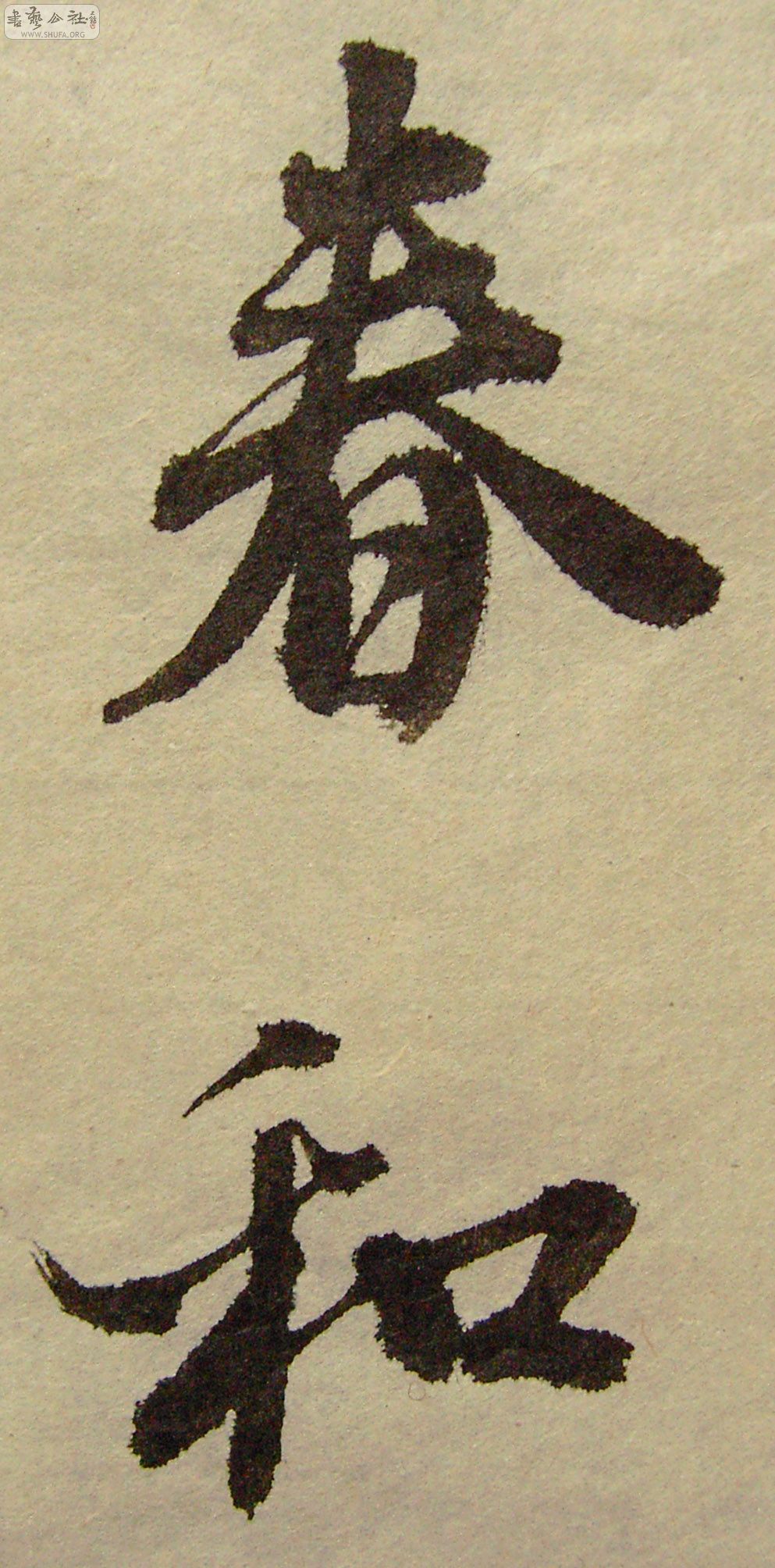 PICT0298.JPG