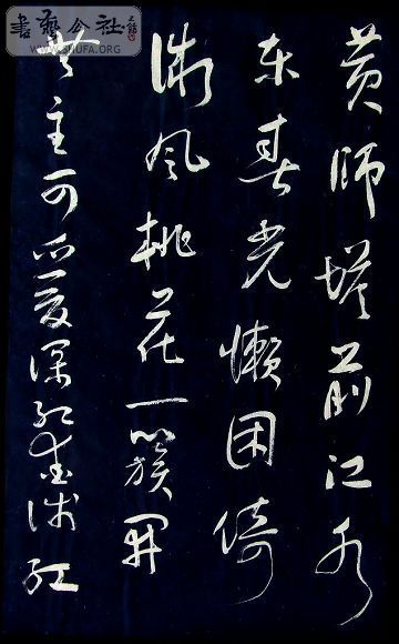 DSCF5145.JPG