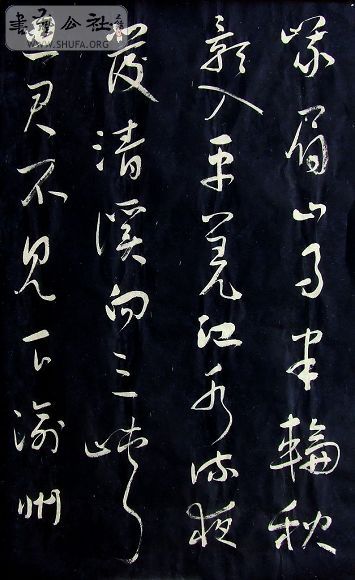 DSCF5117.JPG