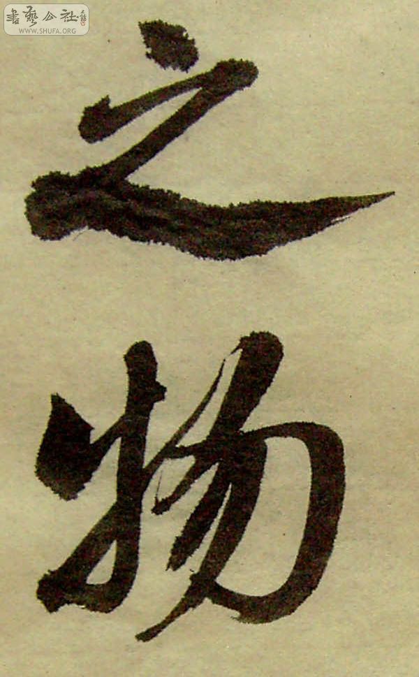 PICT0220.jpg