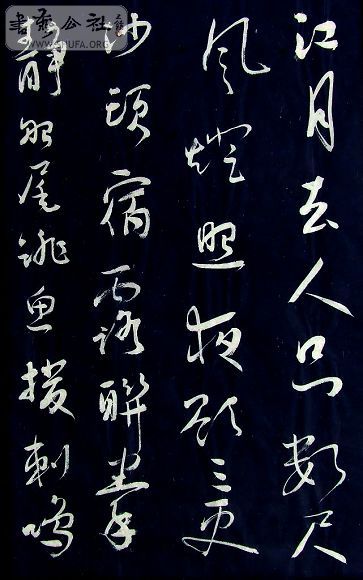 DSCF5140.JPG