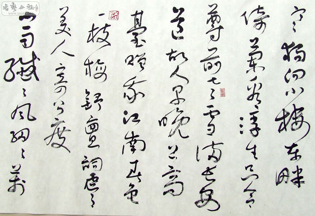 DSCF5201.JPG
