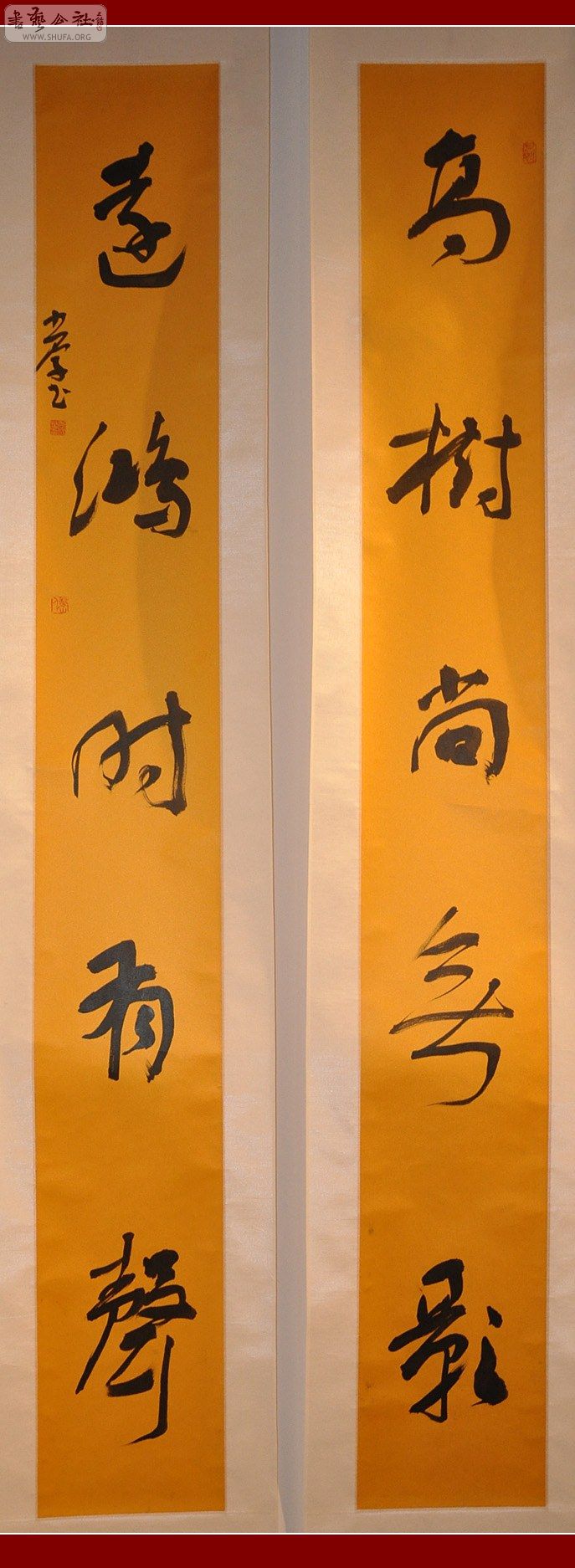 DSC_4154.jpg