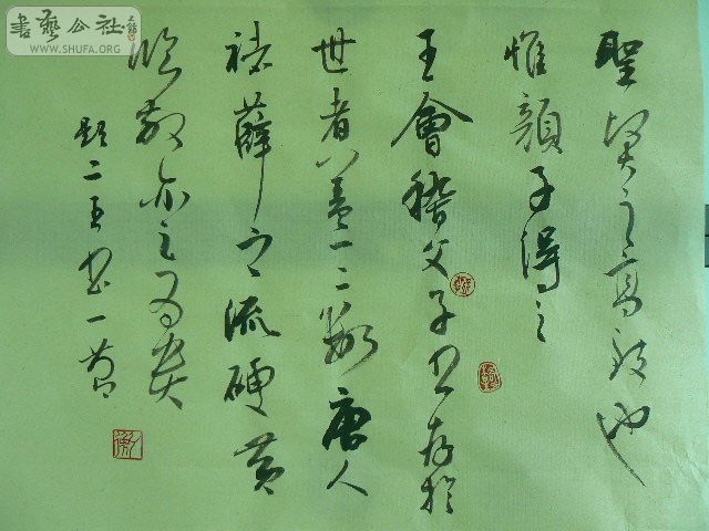P1050335.JPG