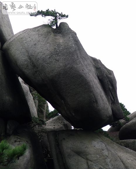 DSCF5403.jpg