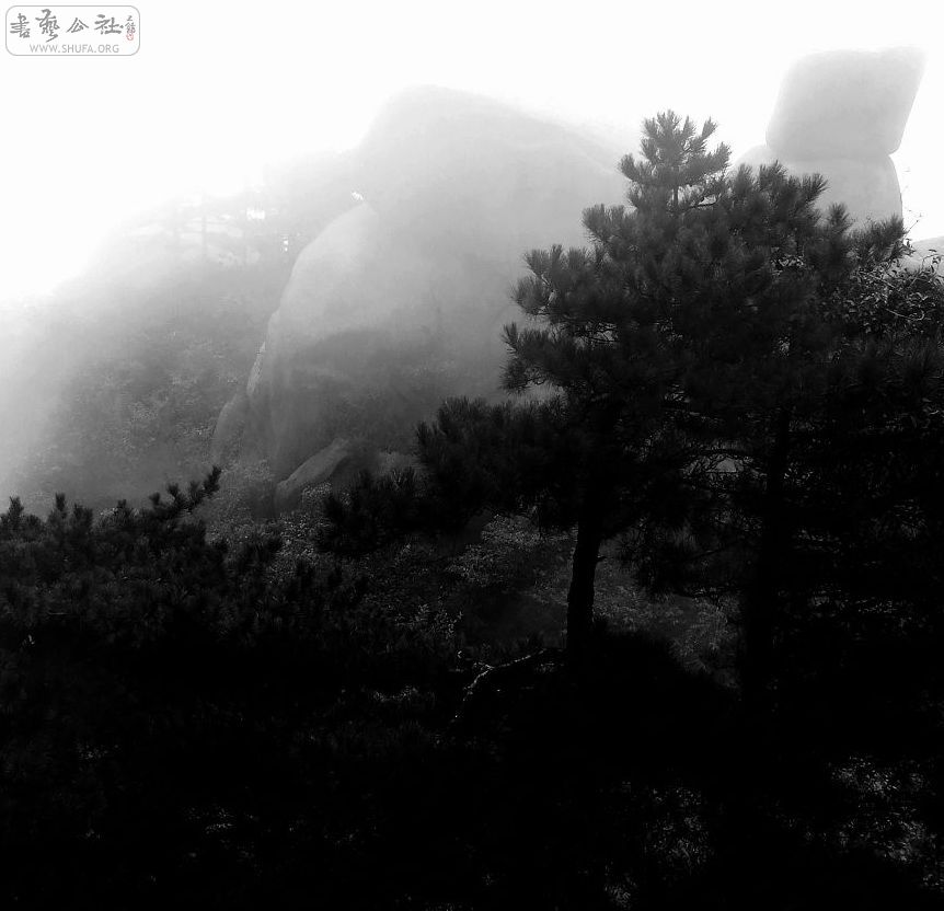DSCF5393.jpg