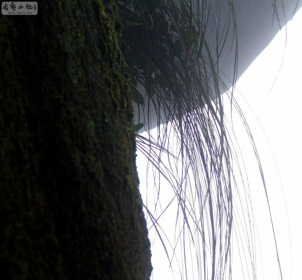 DSCF5302.jpg