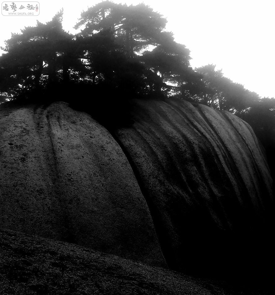 DSCF5456.jpg
