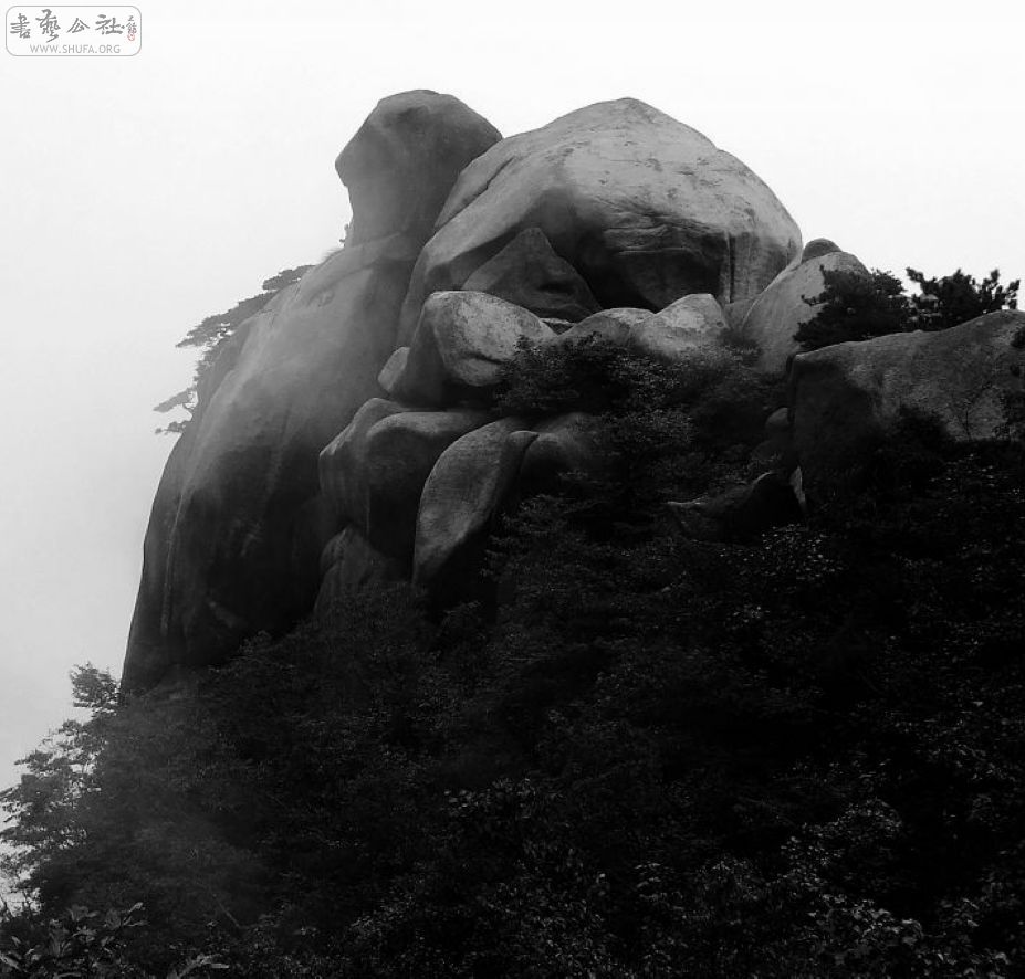 DSCF5391.jpg
