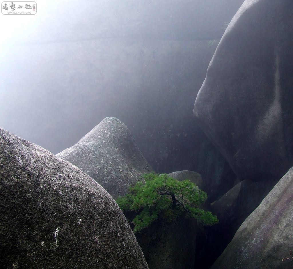 DSCF5550.jpg