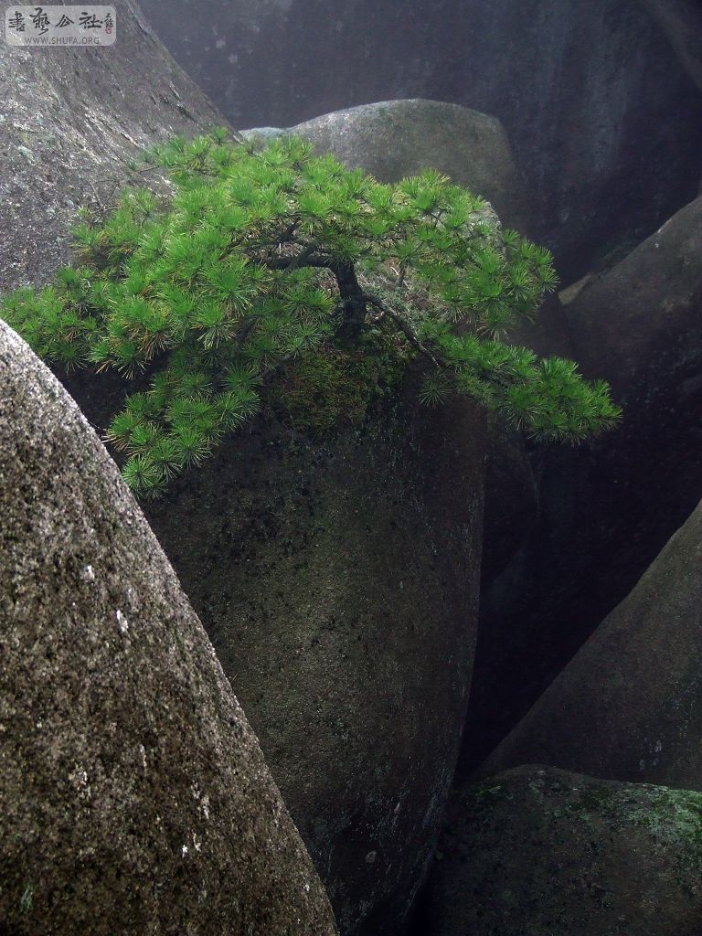 DSCF5551.jpg