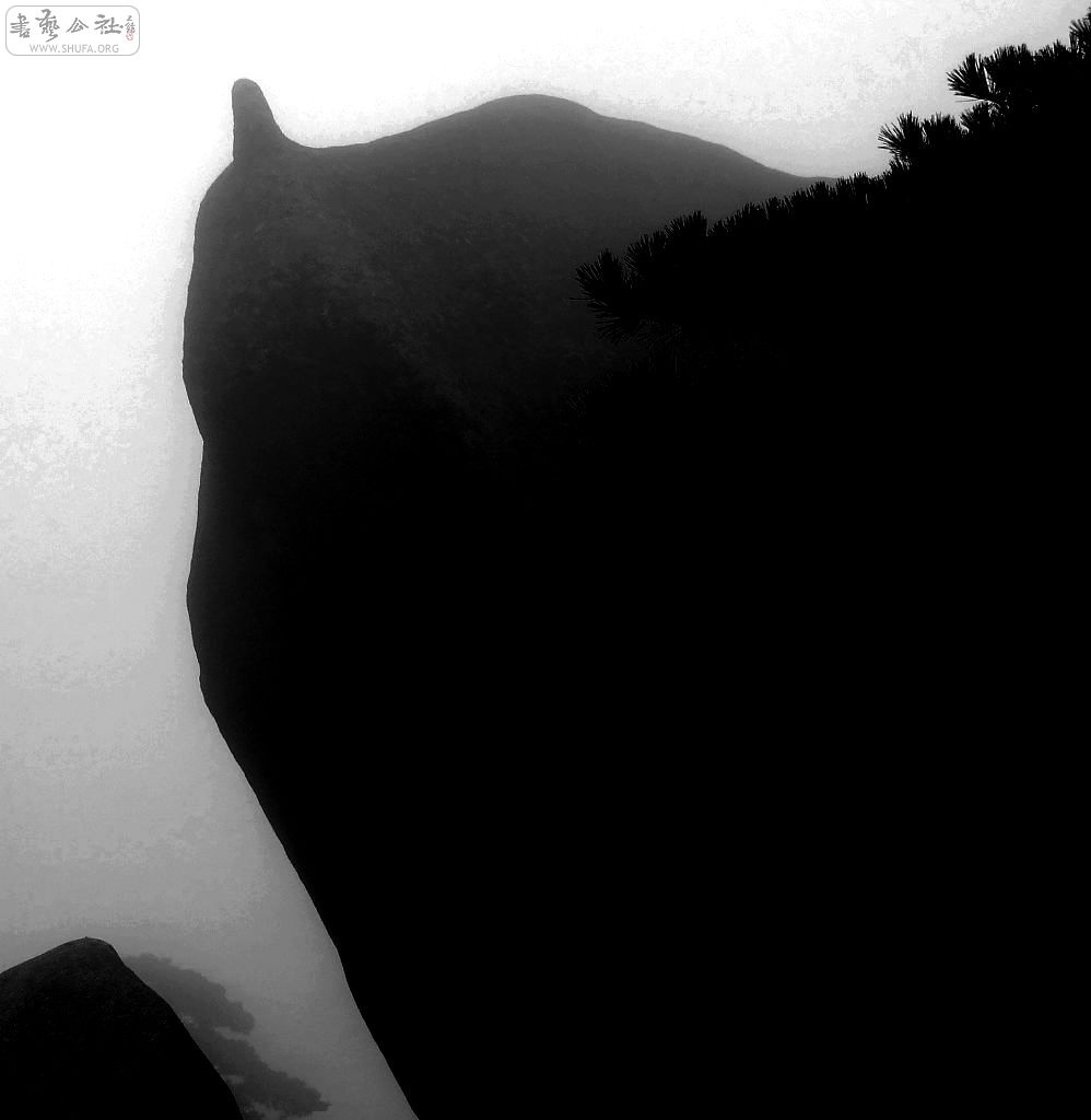 DSCF5536.jpg