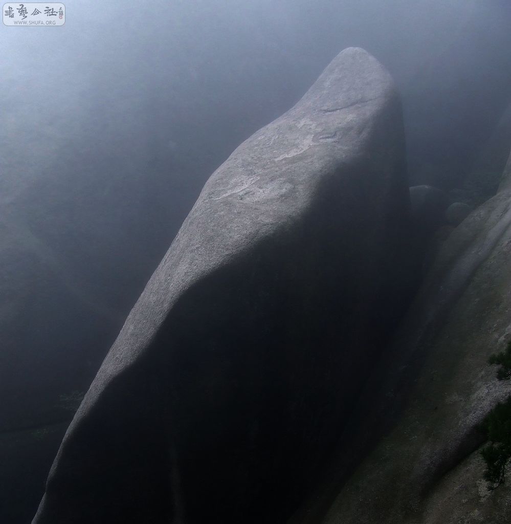 DSCF5548.jpg