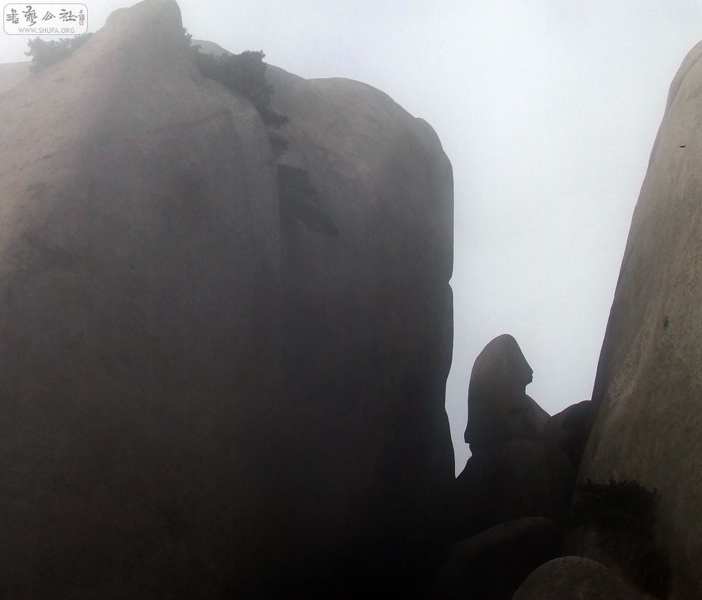 DSCF5555.jpg