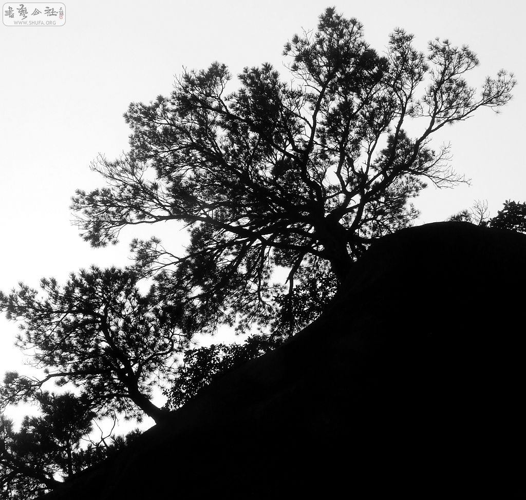 DSCF5571.jpg