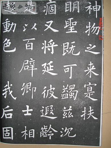 DSC06188.JPG